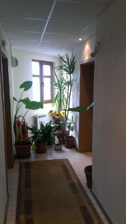 Hotel Family Bansko 2*
